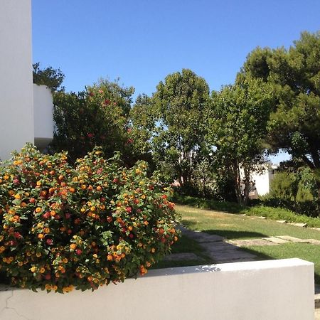 Cheerfulway Alto Do Moinho Apartamentos 阿尔布费拉 外观 照片